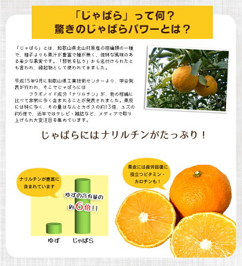 じゃばら本舗柑橘じゃばら飴90g甘さと酸っぱさのちょうど良い美味しさ!