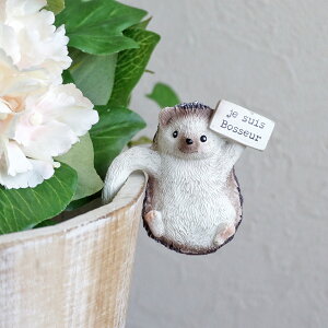 FV ANVFG\   |pi K[fjOG I[ig u