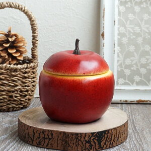 t^tAbv 1  ь S̃AWx[X fR[Vf