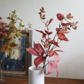 楽天市場 花 赤 種類 植物 アイビー 花 ガーデン Diy の通販