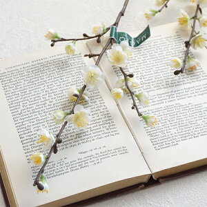   ~ N[ 1{ VN ꐳ ߂ł EFfBO v[g Mtg AWg p[c CeA  f  } Vv i` tFCN  zCg E 