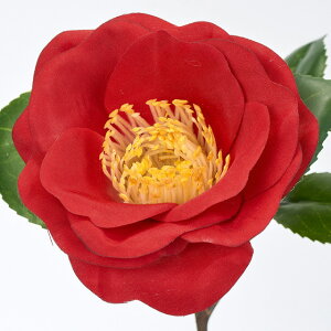 ���� �܂�� �} 1�{ �������� �}�t �ԍ� �A�[�e�B�t�B�V�����t�����[ �a�� �f�B�X�v���C ���� ���� MAGIQ ������