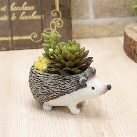 楽天市場 多肉植物 ギフトの通販