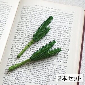 y30%OFFz  A JN^X 2{Zbg T{e ڂĂ  tFCNO[ CeA  f p[c Vv i` tFCN ΁y[։i1ʂɂ3Zbg܂