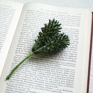 y30%OFFz A  JN^X 1{ T{e ڂĂ  tFCNO[ CeA  f p[c Vv i` tFCN 