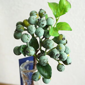  tbV x[ sbN 1{  } CeA    tFCNO[ i`   tFCN N I[V[Y  G sN [u ubN  