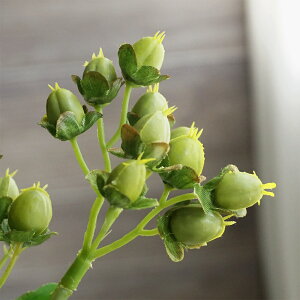  qyJ 1{   } CeA   tFCNt[ tFCNO[ i`   tFCN  H uE F O[  Jg[ G