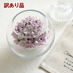 y󂠂z{gt[  Eh^ 1  TN hCt[  t[AWg CeA    i sN a { j   