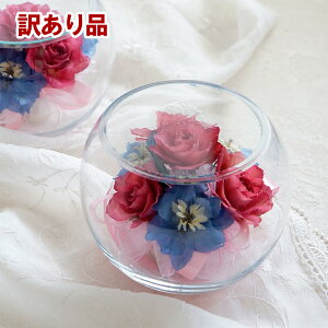 y󂠂 AEgbgz{gt[ [Y ftBjE Eh^ 1 o KN hCt[  t[AWg CeA    { G sN 