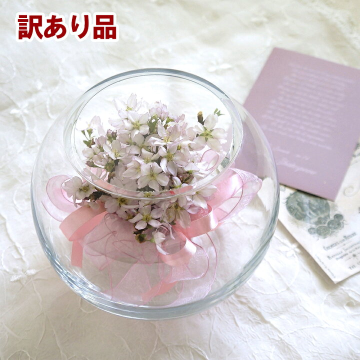 楽天市場】【訳あり アウトレット】ボトルフラワー 桜 ドーム型 1個 