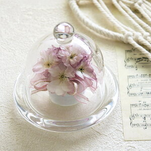 {gt[ d h[^ ~j 1   TN hCt[  t[AWg CeA    i sN a { G Mtg v[g 