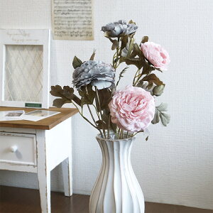 y20%OFFz jAXhCiLX 1{ sN ACXO[ CeA    Vv i`   i tFCN  u[ N I[V[Y t 