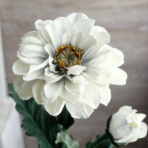 y10%OFFz WjA 1{ hCt[ hC^b`  g CeA   tFCNt[ i`   i tFCN H ~ I[V[Y N  z