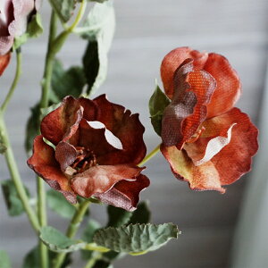 y10%OFFz [Y 1{ hCt[ hC^b`  g AeB[N CeA   tFCNt[ i`   i tFCN H ~ I[V[