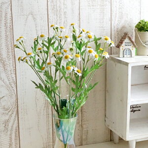 yc1_z {k[ J~[ 1{ CeA   Vv i`  tFCN   N I[V[Y t     G