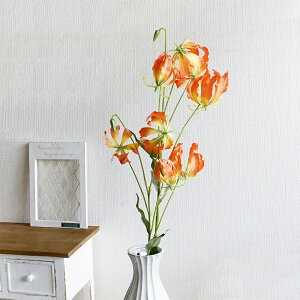 y30%OFFZ[z \C OIT 1{ CeA   Vv i`  tFCN     G