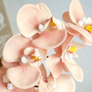  ~jkt@m 1{ Ӓ  m I[Lbh CeA   Vv i`  tFCN   i a   sN x[W zCg G