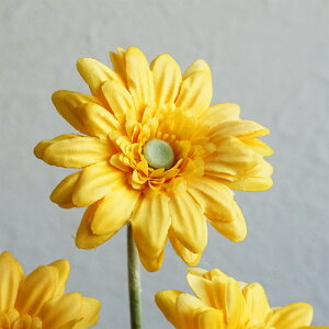  K[x 1{ Pi  CeA   Vv i`  tFCN t N I[V[Y  