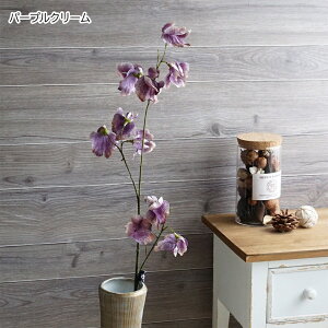  XCgs[ 1{ XC[gs[ CeA   tFCNt[ A[eBtBVt[  i` Vv   tFCN  sN G