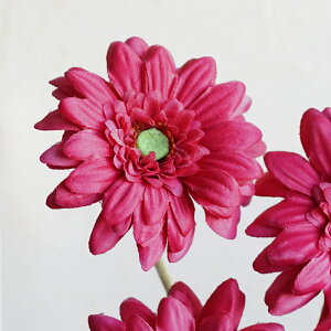  K[x 1{ Pi  CeA   Vv i`  tFCN t N I[V[Y  