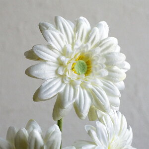  K[x 1{ Pi  CeA   Vv i`  tFCN t N I[V[Y  