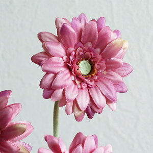  K[x 1{ Pi  CeA   Vv i`  tFCN t N I[V[Y  