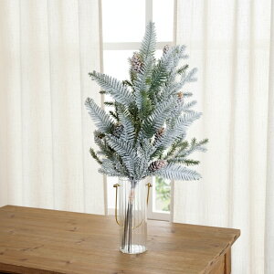 tFCNO[ ~bNXpCo`i13{j asca AXJ NX}X CeA   tFCNO[ i`   t t [t   ~