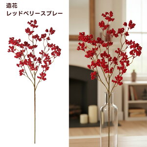  bhx[Xv[ bh NX}X  ~  A[eBtBVt[  }  ԍ aAW RED fBXvC CeA i tFCNO[