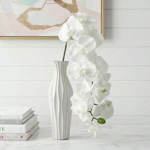  t@mv~G[L N[ 1{ Ӓ A[eBtBVt[ ԍ R`E fBXvC AWg MAGIQ 