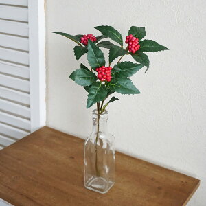  痼Xv[ 1{ A[eBtBVt[   ԍ ߓ aAW N  fBXvC CeA tFCNO[ tFCNt[