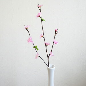  ̉ } sN 1{  ЂȍՂ Ղ  S63cm ЂȂ܂ t̃CeA A[eBtBVt[ A[gt[ t a } ʐ^Be