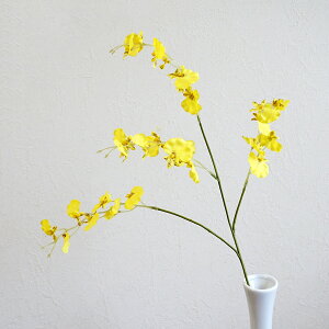  IVW[ 1{ IVWE A[eBtBVt[  a m A[gt[ tFCNO[ CeA ͂Ȃ  rO Q