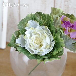  tO sbN 1{ n{^  CeA      tFCN ~ a  G