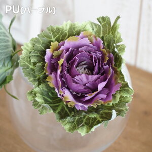  tO sbN 1{ n{^  CeA      tFCN ~ a  G