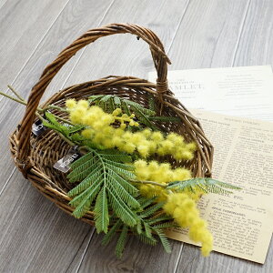  ~U 1{ CeA    tFCN tFCNt[ Vv   i` F CG[ t G݁y[։i1ʂɂ2{܂ŁjAׂȈՕz