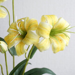 y10%OFFz B 1{  S [ CeA    tFCNt[ A[eBtBVt[ i` Vv 킢  tFCN  F sN I