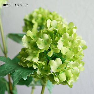 y30%OFFZ[z Xm[{[ 1{ ro[i CeA    tFCNO[ i`  i tFCN t    F   O[ u[ zCg 