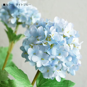 y30%OFFZ[z Xm[{[ 1{ ro[i CeA    tFCNO[ i`  i tFCN t    F   O[ u[ zCg 