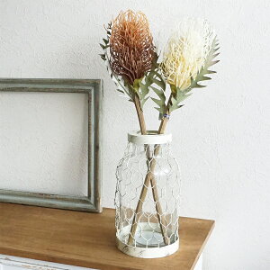  oNVA 1{ CeA    Vv i`   tFCN hCt[ I[W[vc Cht[ lCeBut[ uE zCg 