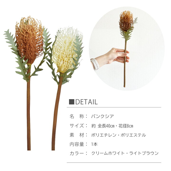 楽天市場】造花 バンクシア 1本 インテリア 飾り 装飾 花 シンプル 