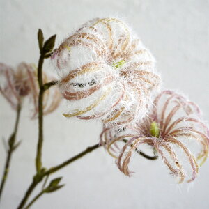  N}`X V[h V[g 1{ CeA    tFCNt[ tFCNO[ i`   tFCN N I[V[Y N[ [u hCt