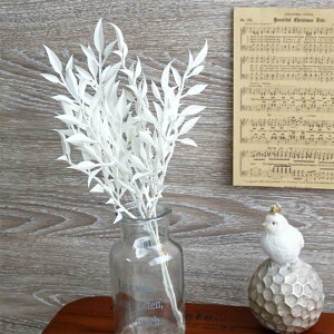  ou[[to` 1{ NX}X  CeA   tFCNt[ tFCNO[i` Vv   i  tFCN H ~  zCg G