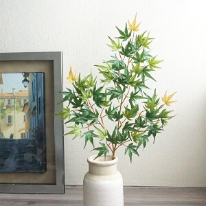  gt ݂ Wpj[YCv O[ H fBXvC p }t A tFCNO[ [t i X  nEB fR[V CeA Cxg Be