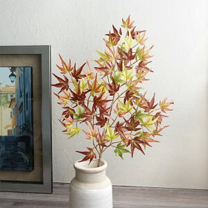  gt ݂ Wpj[YCv O[uE H fBXvC p }t A tFCNO[ [t i X  nEB fR[V CeA Cx