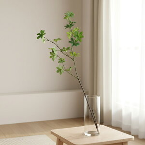  hE_ccW 1{ S85cm tFCNO[ lHϗtA CeA } A a m } 傫   i` 킢  tFCN O[  I[