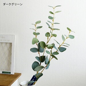  [J Xv[ 1{ } 傫 CeA   tFCNO[ i` Vv 킢  tFCN O[  I[V[Y N  u₩ G