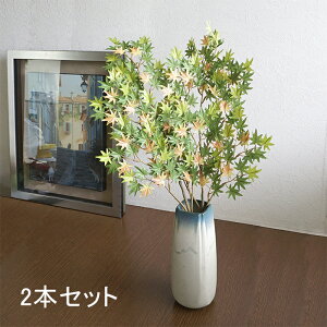 yAEgbgz gt ݂ ~jWpj[YCv O[uE 2{Zbg H fBXvC p }t tFCNO[ [t X  nEB fR[V