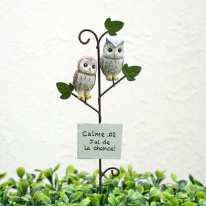 �K�[�f���s�b�N �K�[�f�j���O�G�� �F�V �I�E���R�p���s�b�N�y���[���։� 1�ʂɂ�4�{�܂Łz