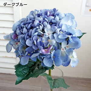  XenChWA 1{ z nChWA AWTC   ~J A[eBtBVt[ CeA  i` ͂Ȃ