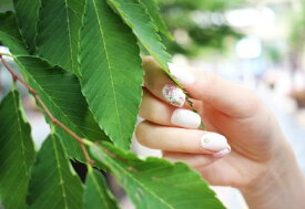 花柄ネイル　ピンク　キレイ系ネイル　可愛い系ネイル　ネイルV13　シールネイル　貼るタイプネイル　使い捨てネイル　ネイルかわいい　簡単 セルフ キット 硬化 硬め 初心者 貼って固める シンプル おすすめ ランキング ジェルネイルセット　送料無料